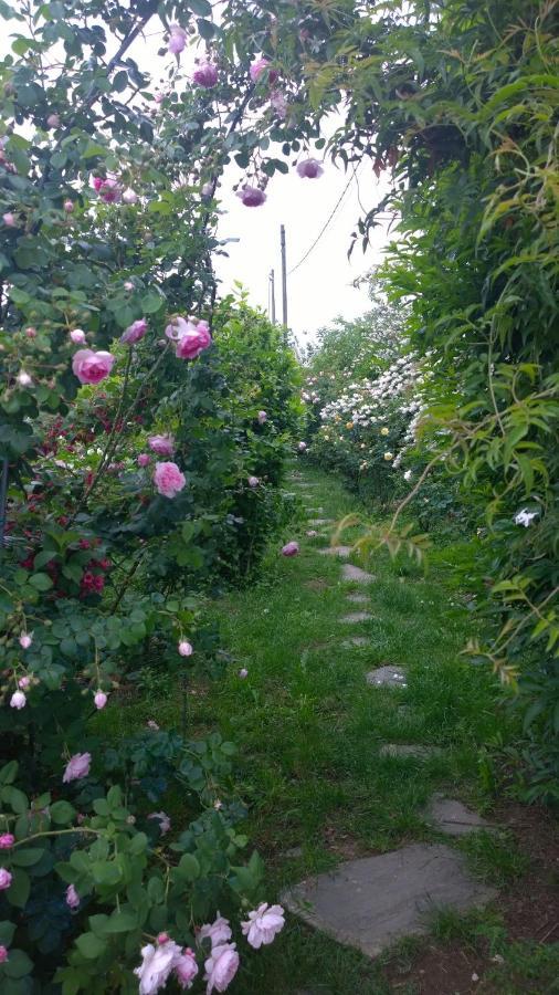 B&B Villa Giardini Susanna Gattico Екстер'єр фото