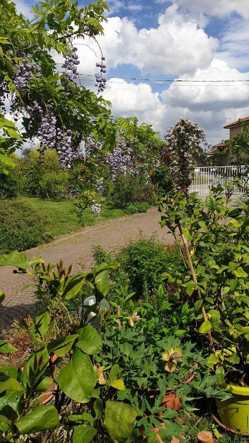 B&B Villa Giardini Susanna Gattico Екстер'єр фото