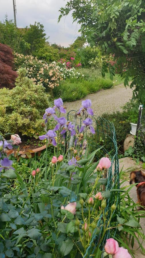 B&B Villa Giardini Susanna Gattico Екстер'єр фото