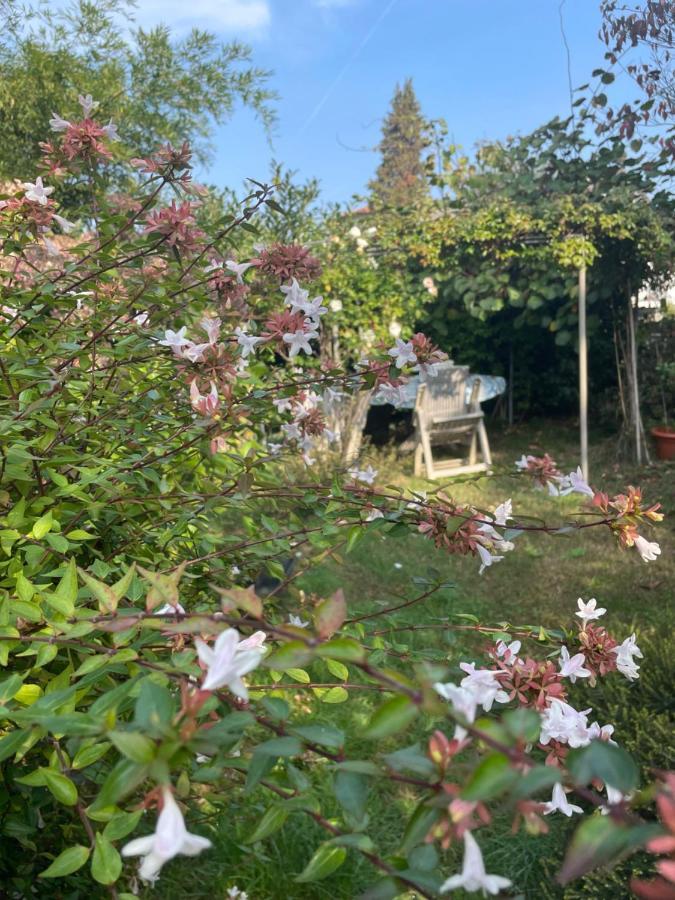 B&B Villa Giardini Susanna Gattico Екстер'єр фото